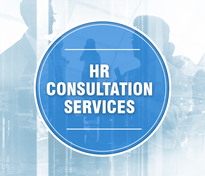 hr-consultation-services-acesai-consultants